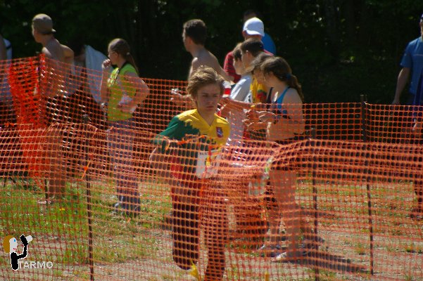 Balti MV Orienteerumises