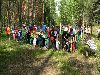 Mini Ilves