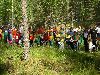 Mini Ilves