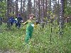 Mini Ilves