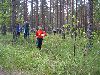 Mini Ilves