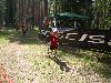 Mini Ilves