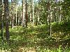 Ilvesteade 3.p�ev