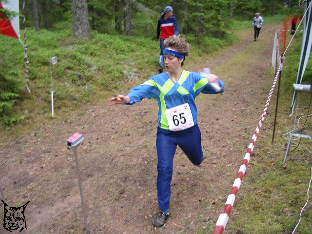 Ilvesteade 1.p�ev