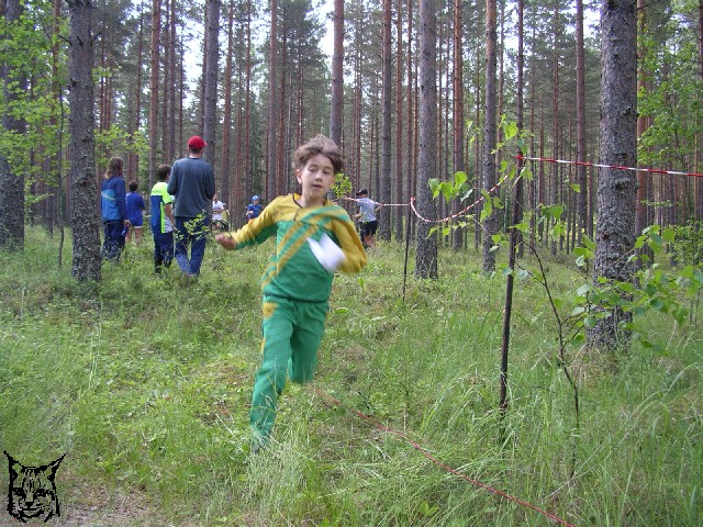 Mini Ilves