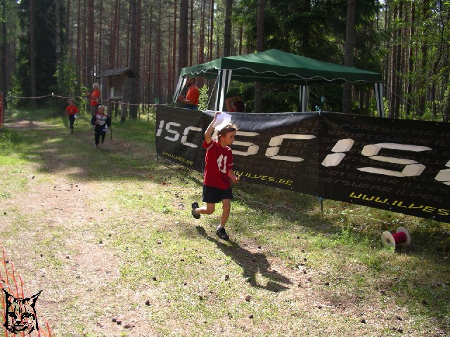 Mini Ilves