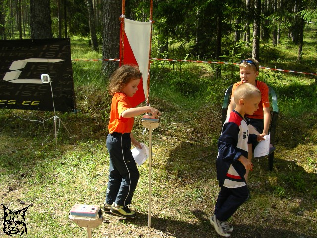 Mini Ilves