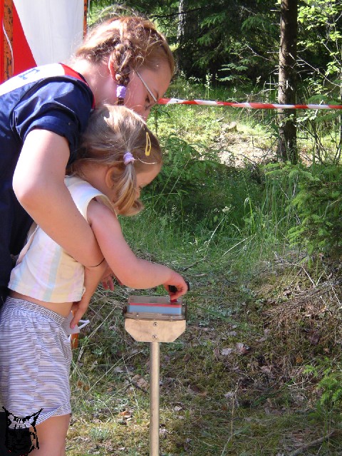 Mini Ilves