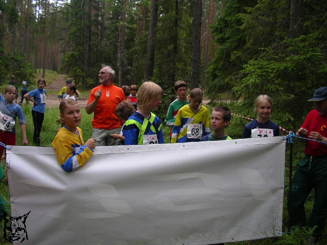 Ilvesteade 1.p�ev