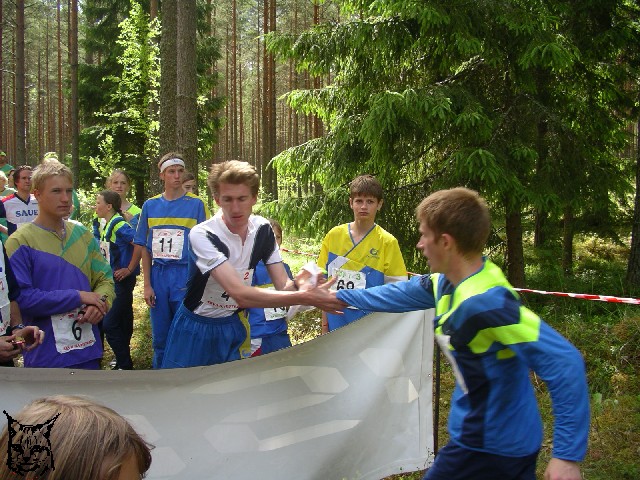Ilvesteade 3.p�ev