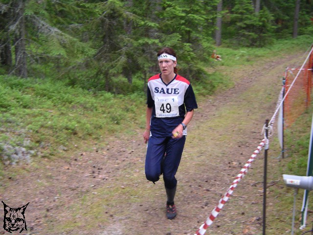 Ilvesteade 1.p�ev