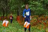 29. Ilvesteade (3.p�ev)