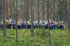 29. Ilvesteade (2.p�ev)