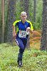 29. Ilvesteade (2.p�ev)