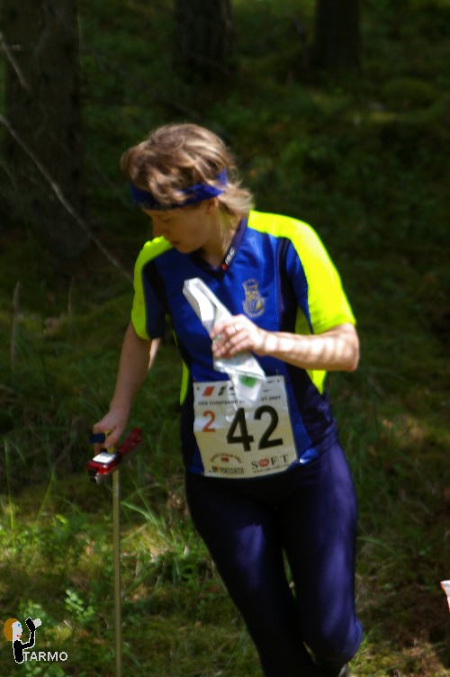 29. Ilvesteade (3.p�ev)