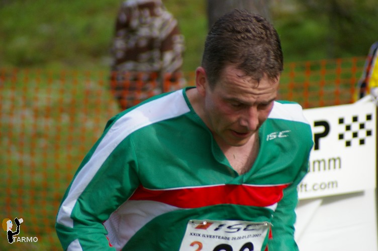 29. Ilvesteade