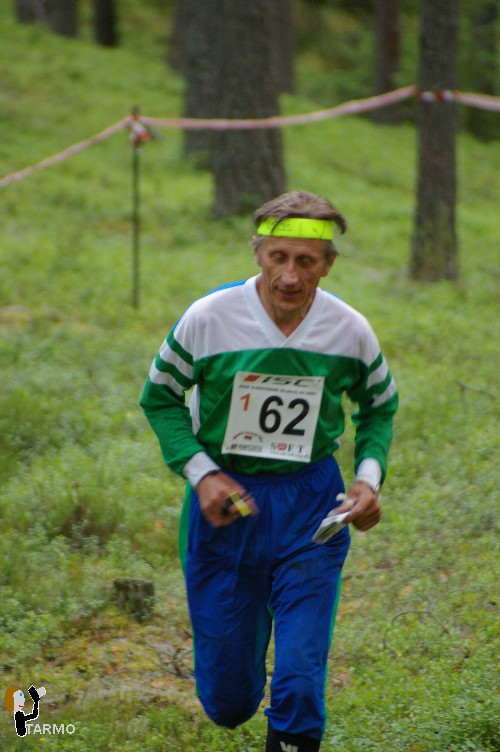 29. Ilvesteade