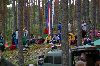 Ilvesteade 2008