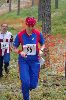 Ilvesteade 2008