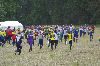 Ilvesteade 2008