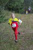 Ilvesteade 2008