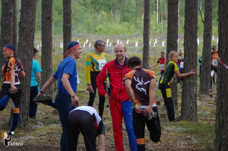 Ilvesteade 2008