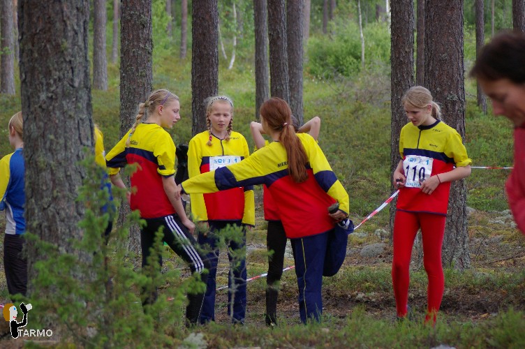 Ilvesteade 2008