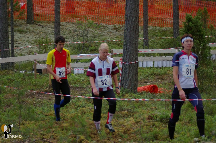 Ilvesteade 2008