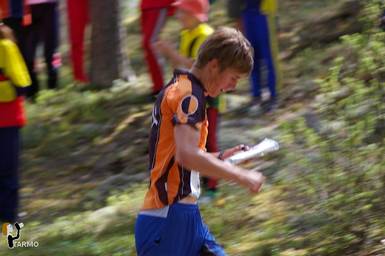 Ilvesteade 2008