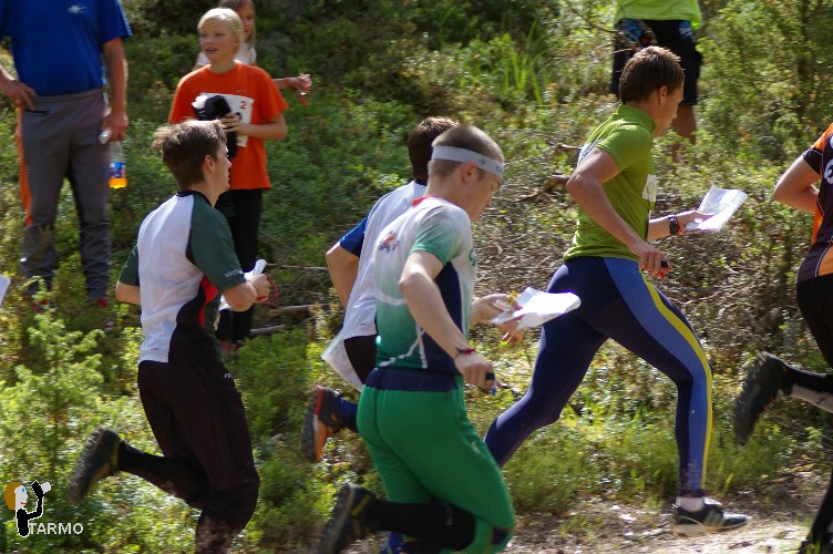 Ilvesteade 2008