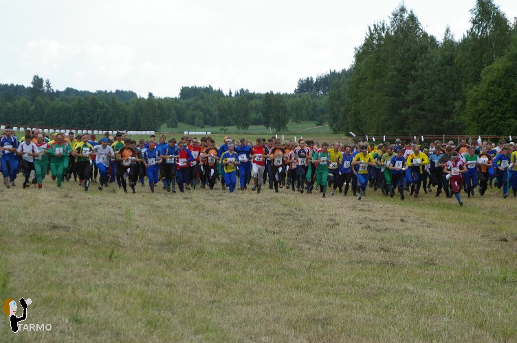 Ilvesteade 2008