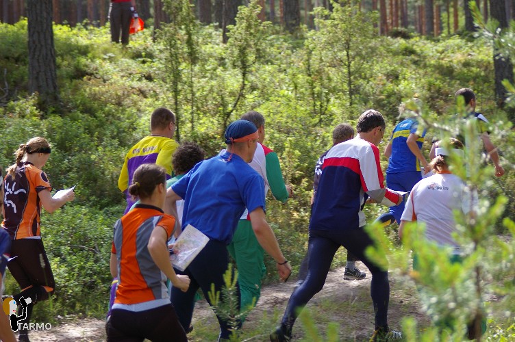 Ilvesteade 2008