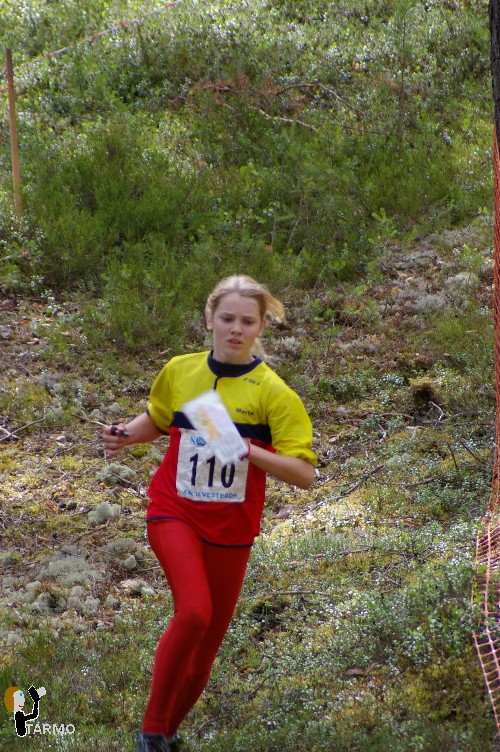 Ilvesteade 2008