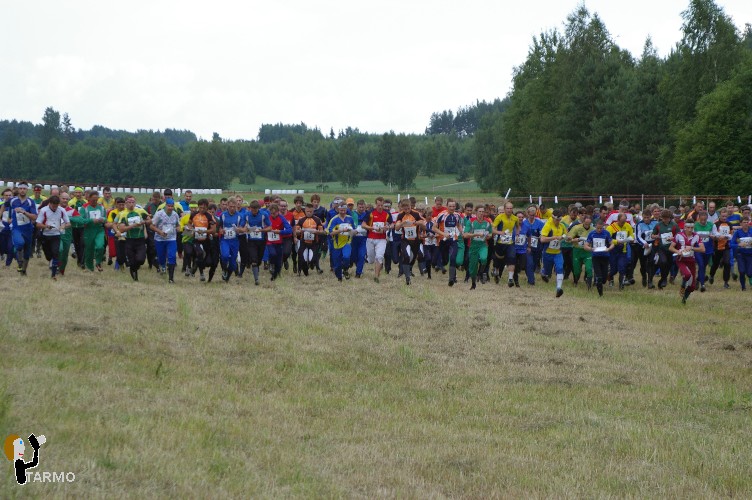 Ilvesteade 2008