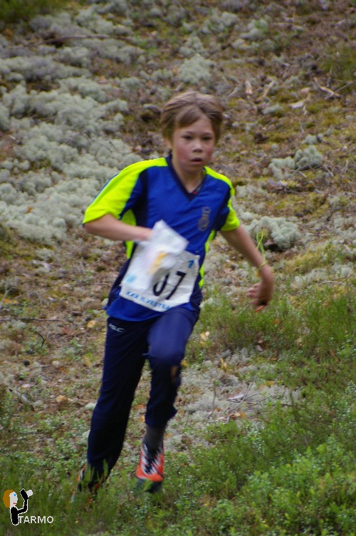 Ilvesteade 2008