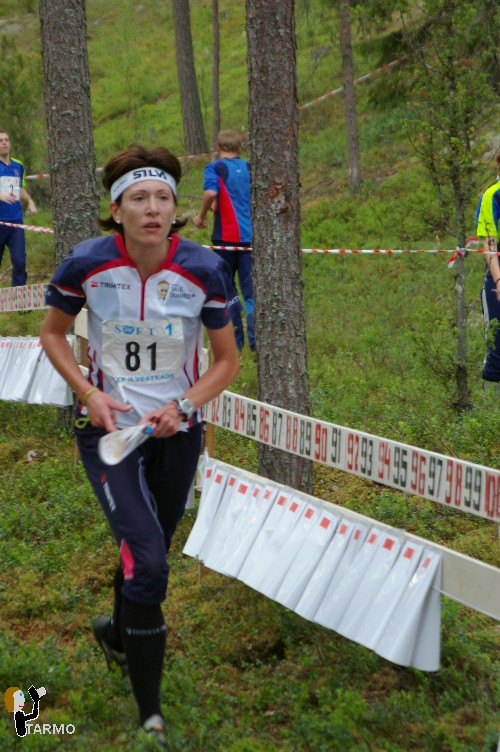 Ilvesteade 2008
