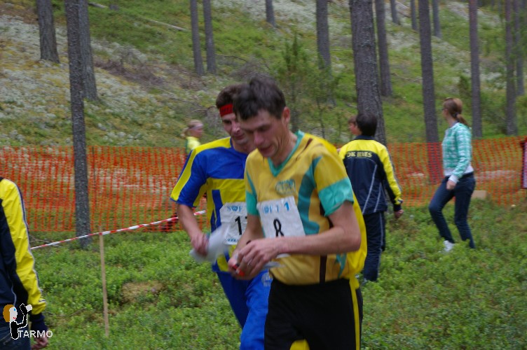 Ilvesteade 2008