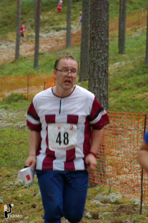 Ilvesteade 2008