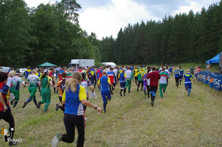 Ilvesteade 2008