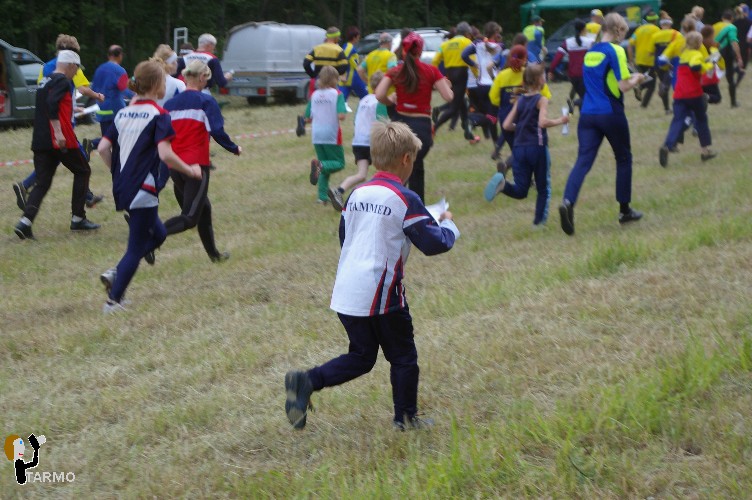 Ilvesteade 2008