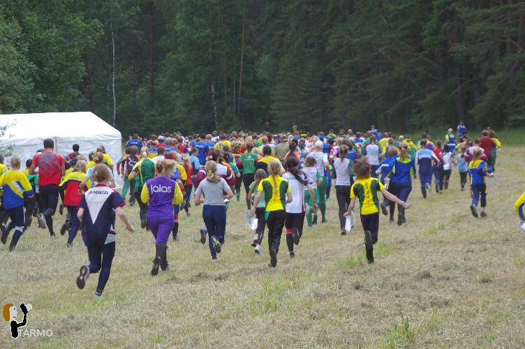 Ilvesteade 2008