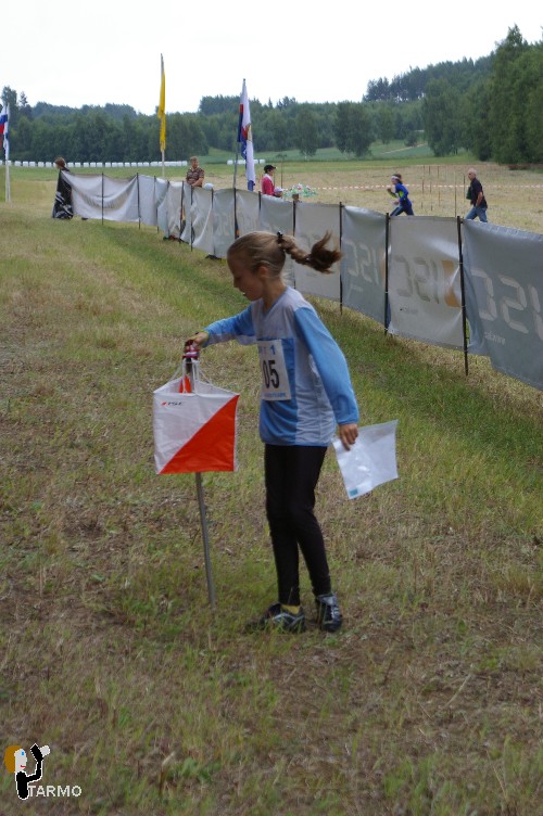 Ilvesteade 2008