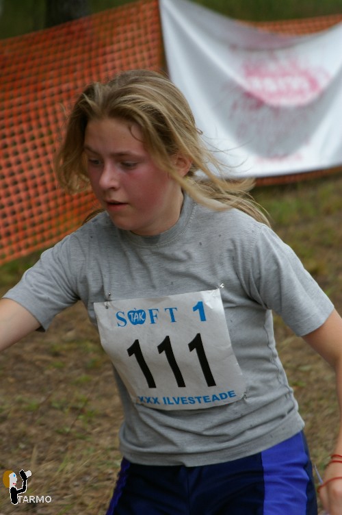 Ilvesteade 2008