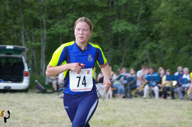 Ilvesteade 2008