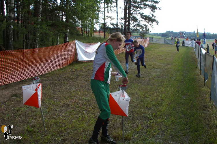 Ilvesteade 2008