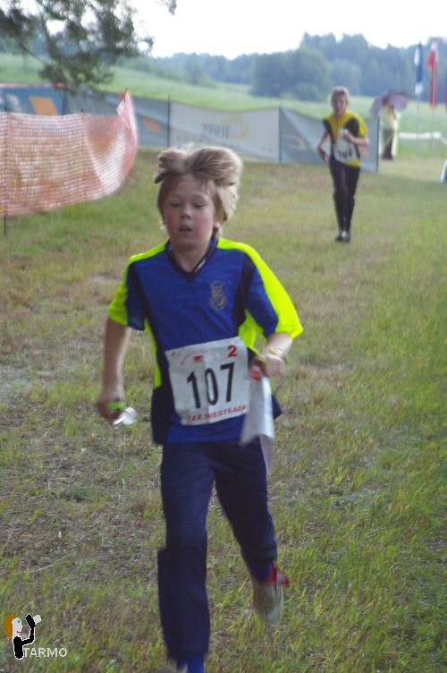 Ilvesteade 2008