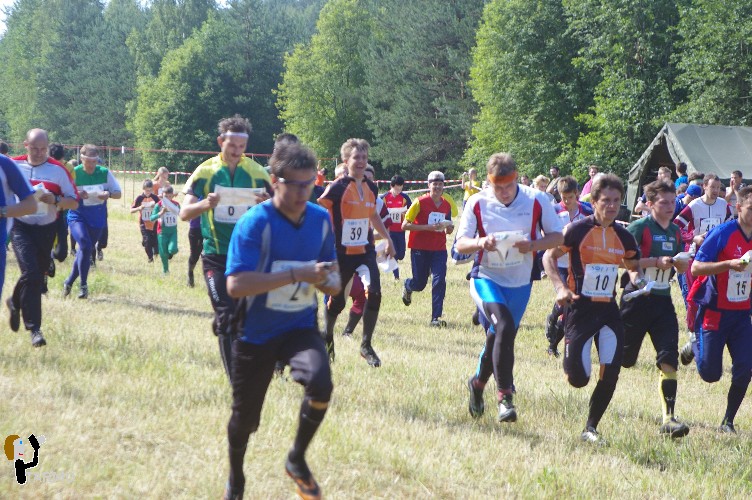 Ilvesteade 2008