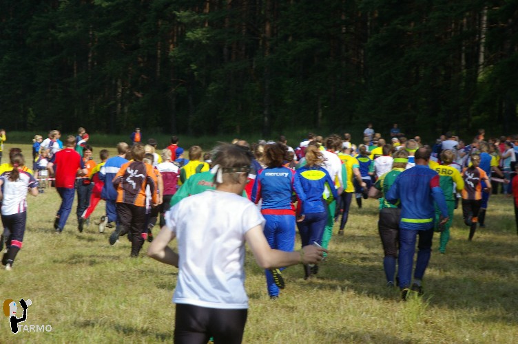 Ilvesteade 2008