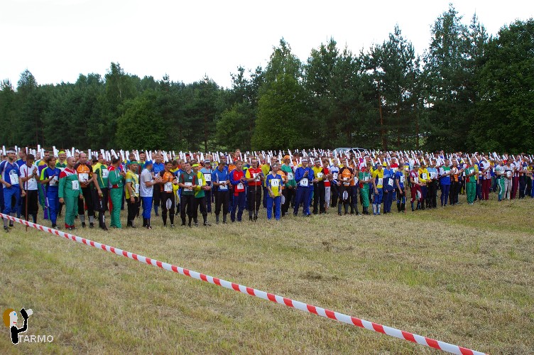 Ilvesteade 2008