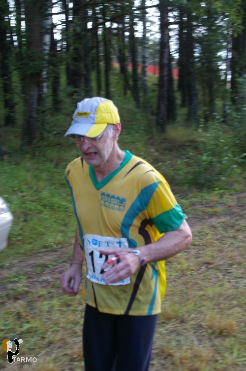Ilvesteade 2008